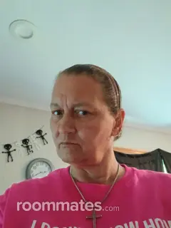 Roommate looking Florissant, MO, $400