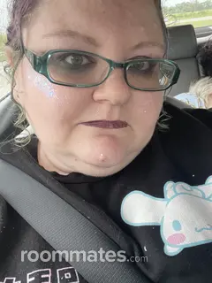 Roommate looking Cleveland, OH, $800