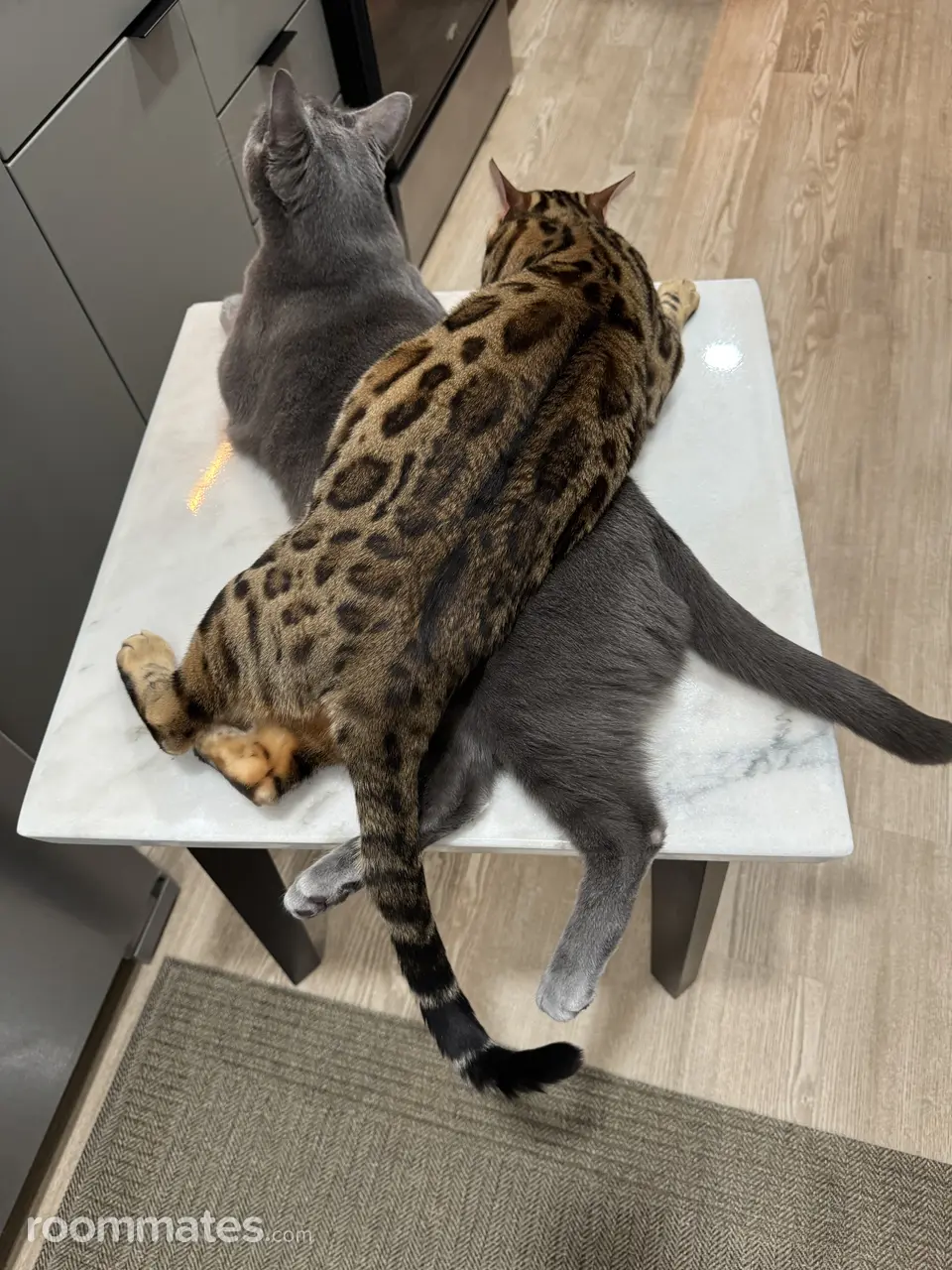 Profile photo 8 of 9