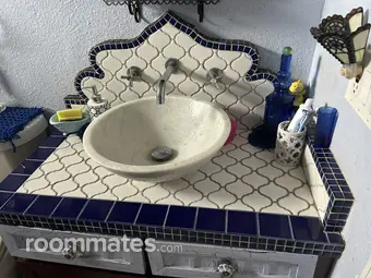 Room for rent in New Port Richey, FL $790, house