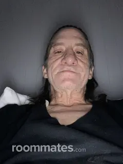 Roommate looking West Bloomfield, MI, $600