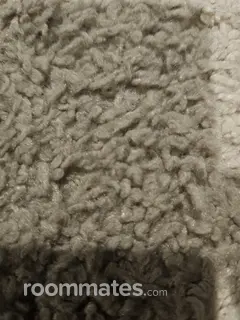 Room for rent in Ridgefield, WA $800, house