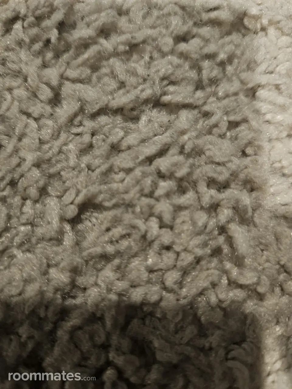 Profile photo 1 of 2