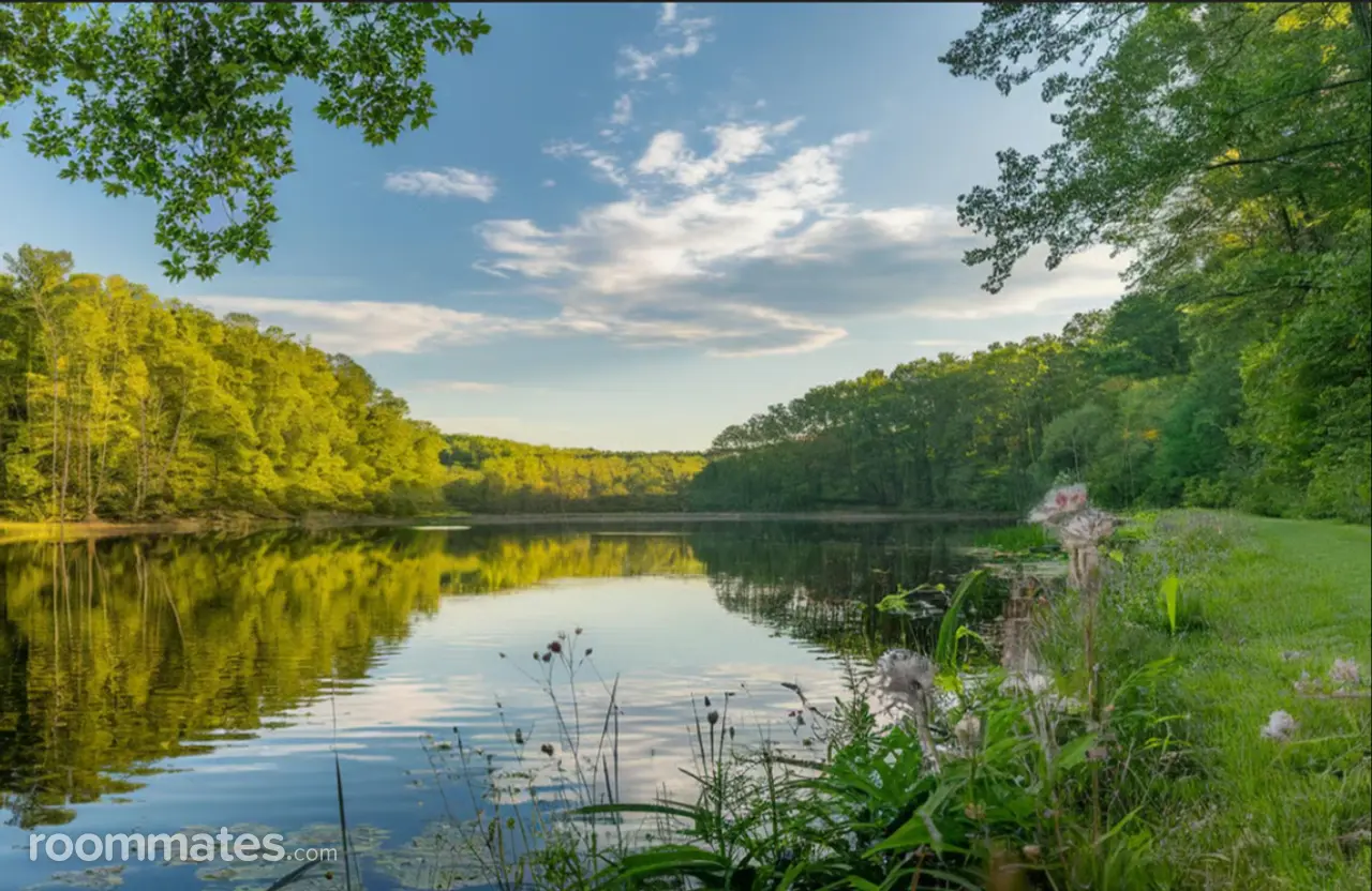 Profile photo 3 of 3