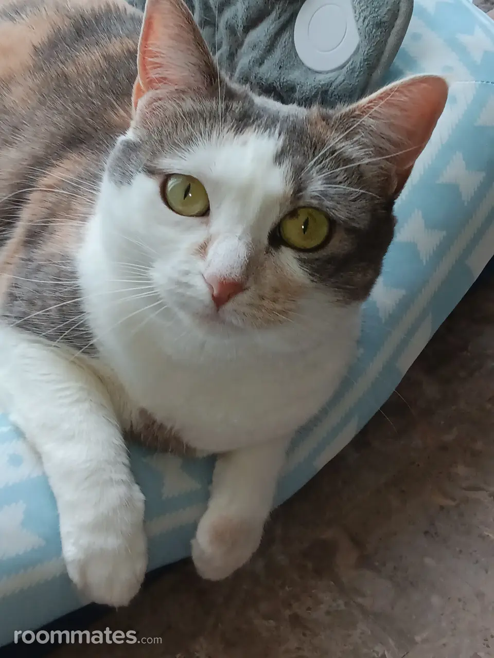 Profile photo 1 of 1