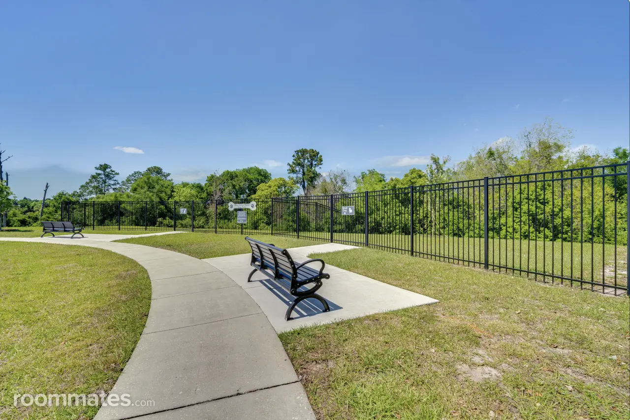 Profile photo 10 of 11