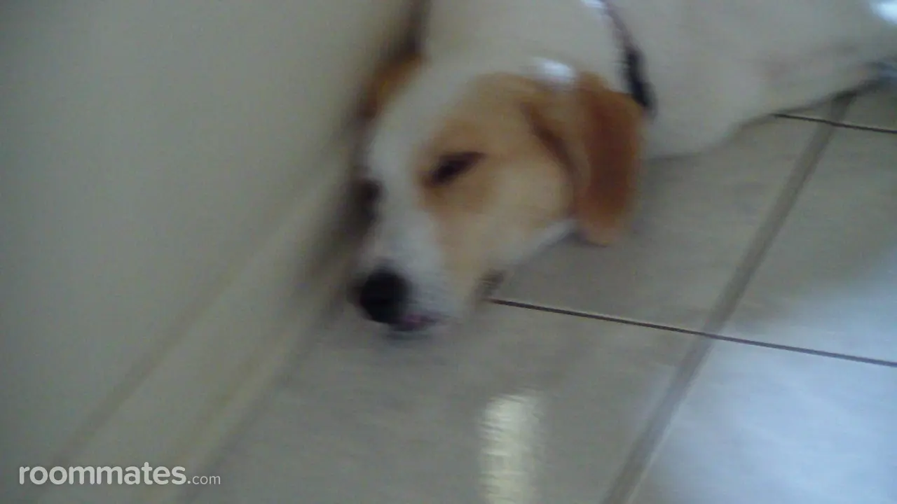 Profile photo 1 of 1