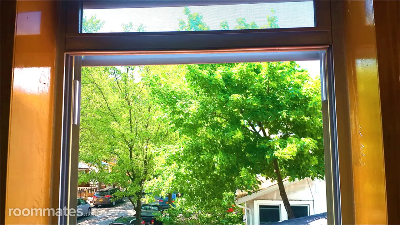 Profile photo 7 of 19