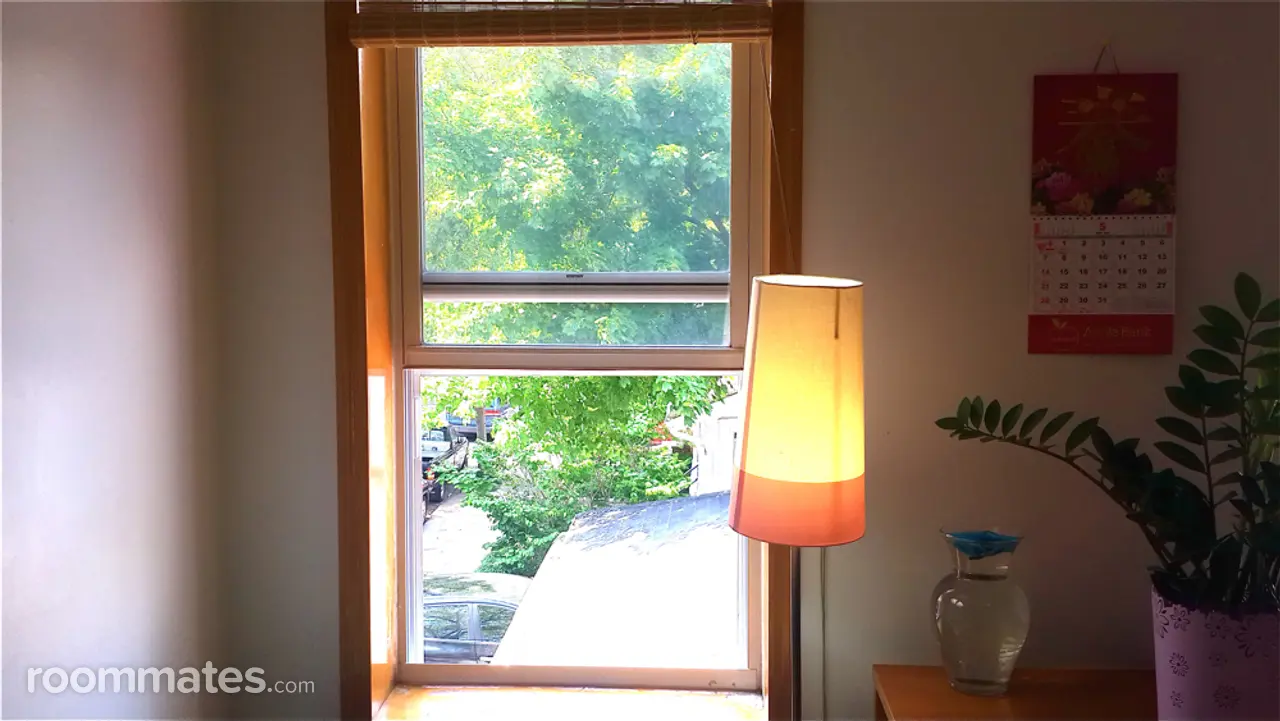 Profile photo 6 of 19