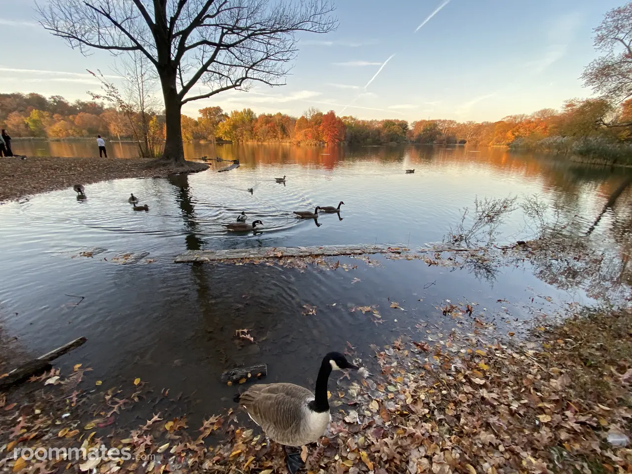 Profile photo 15 of 19