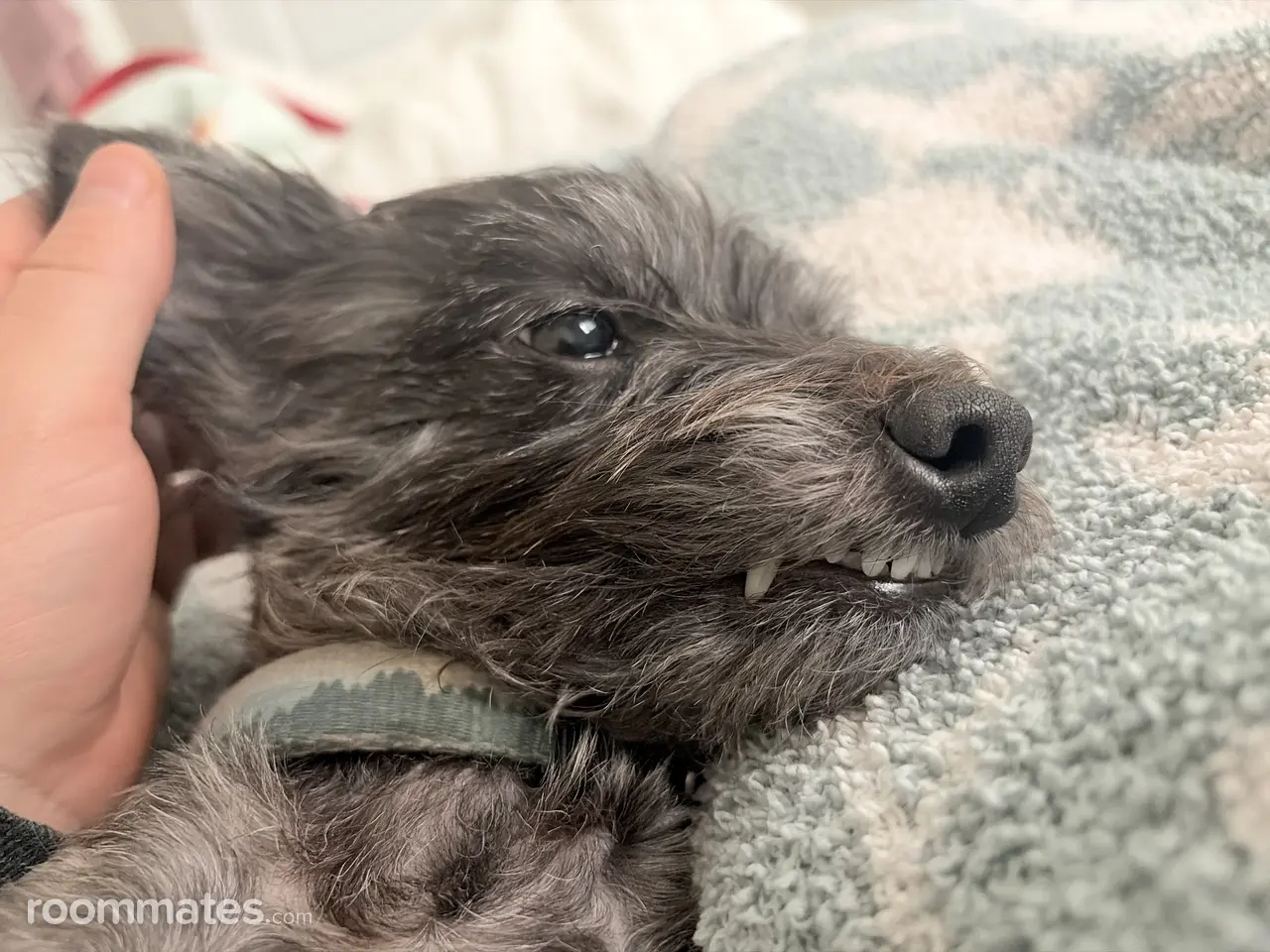 Profile photo 1 of 1