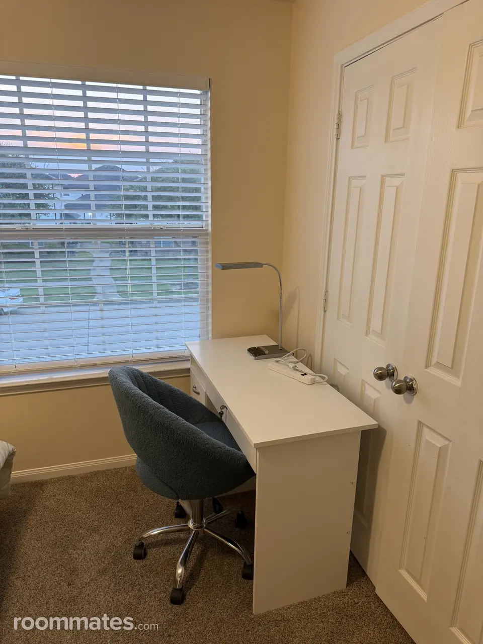 Profile photo 7 of 8