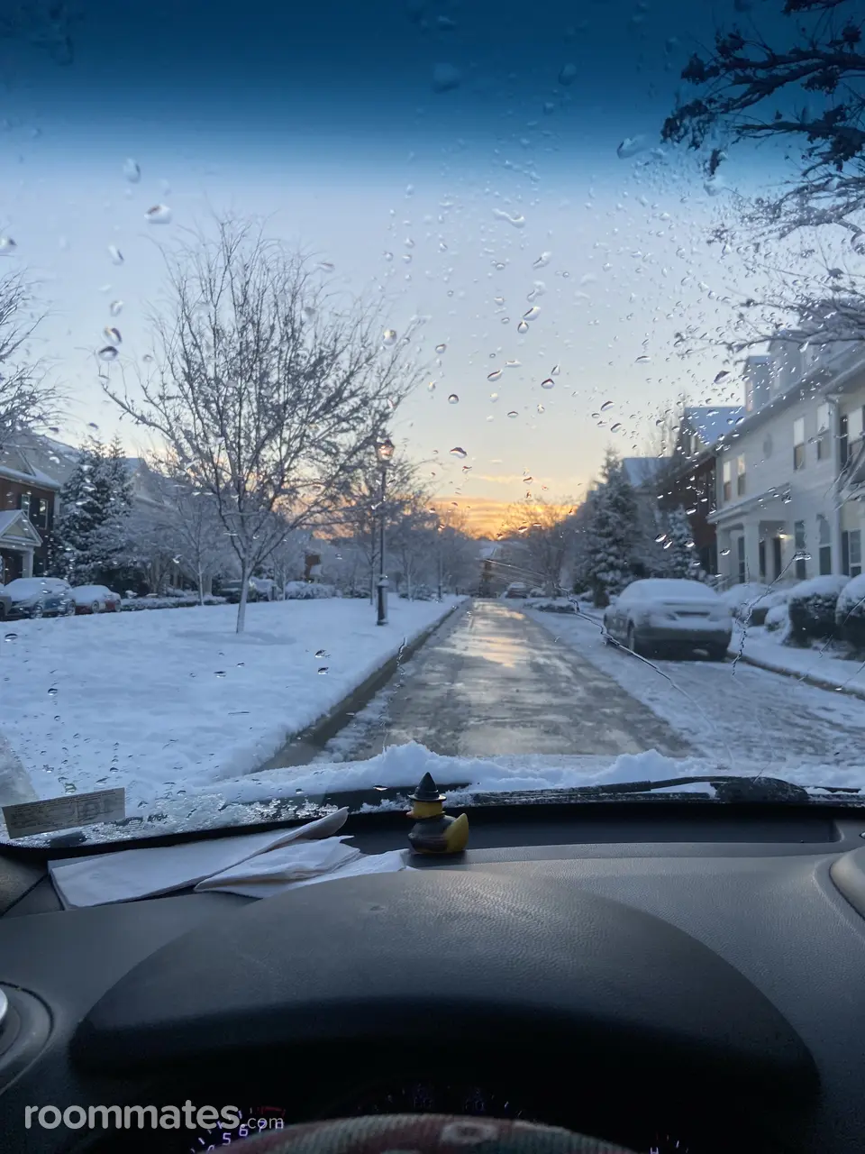 Profile photo 2 of 6