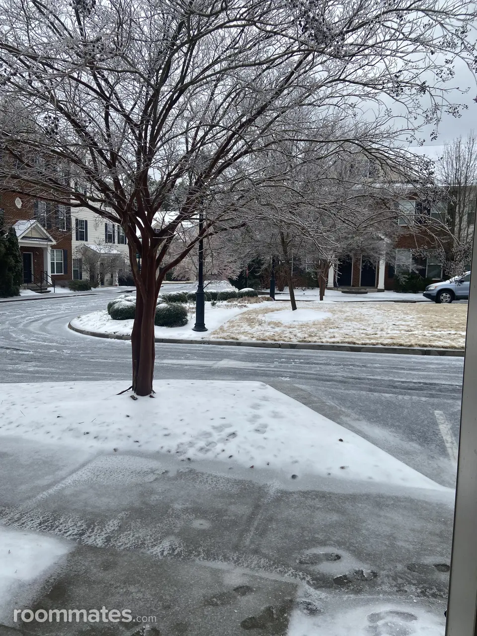 Profile photo 5 of 6