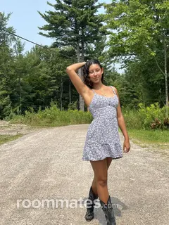 Roommate looking Saint Petersburg, FL, $1100