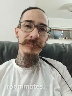 Roommate looking Denver, CO, $800