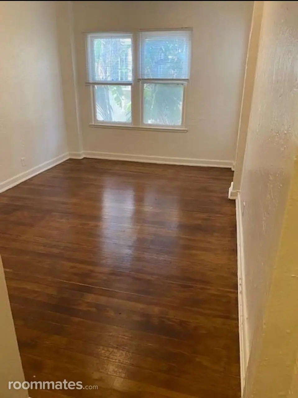 Profile photo 6 of 18