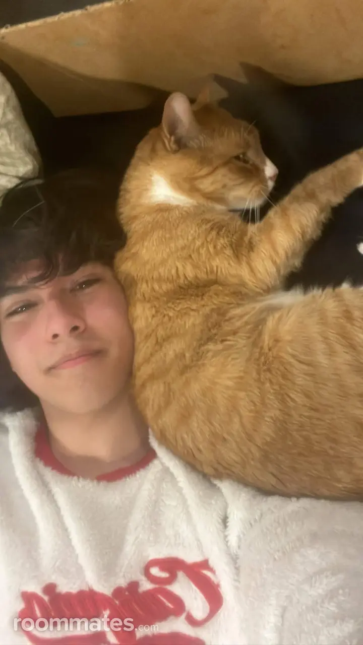 Profile photo 18 of 18