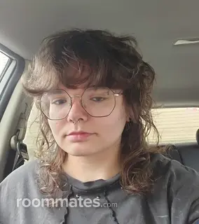 Roommate looking Puyallup, WA, $700