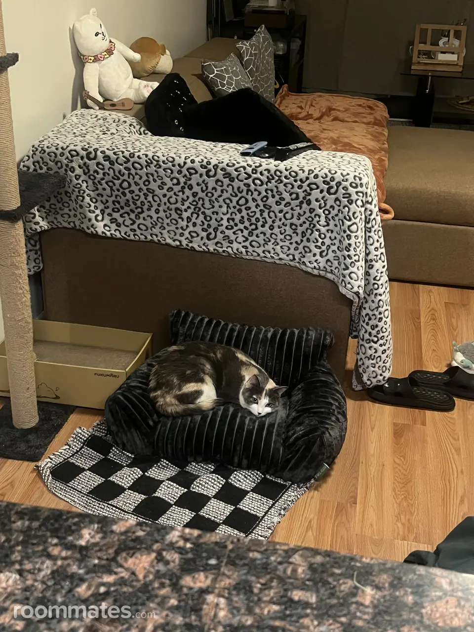 Profile photo 4 of 7