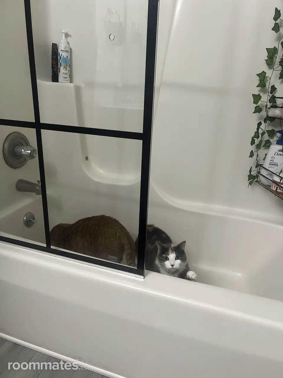 Profile photo 5 of 7