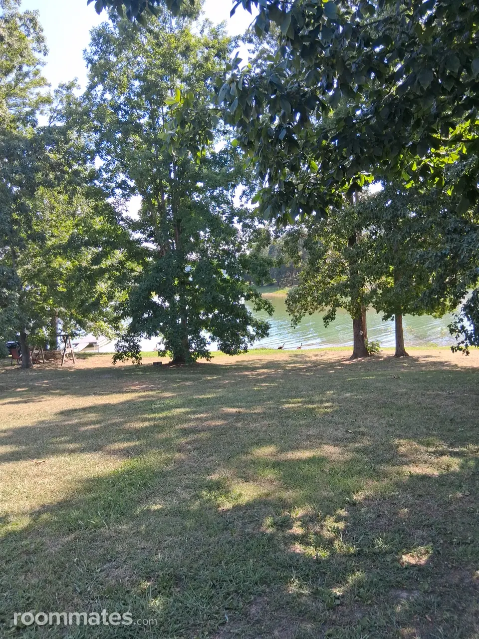 Profile photo 3 of 4