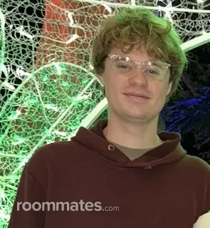 Roommate looking Davie, FL, $800