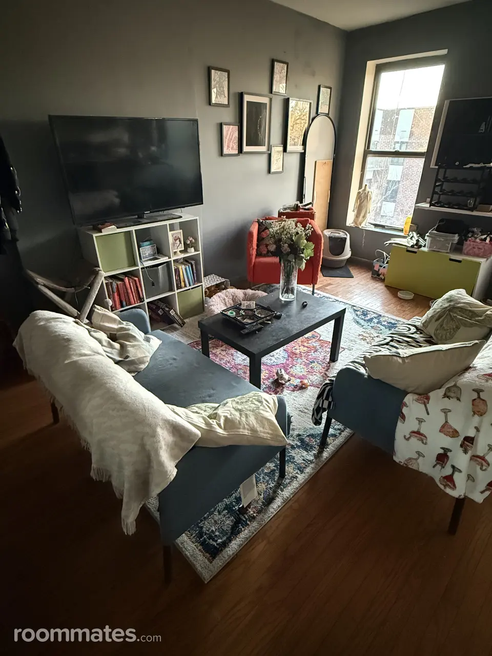 Profile photo 2 of 15