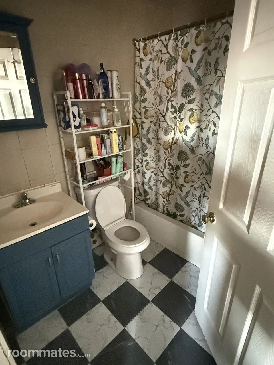 Profile photo 4 of 15