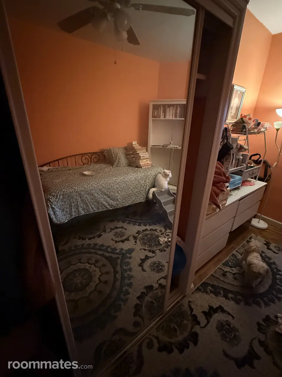 Profile photo 3 of 15