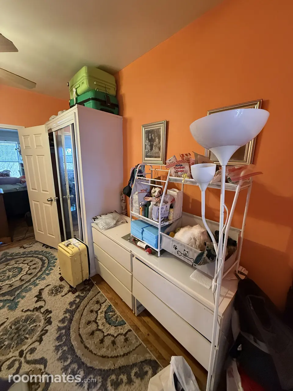 Profile photo 6 of 15