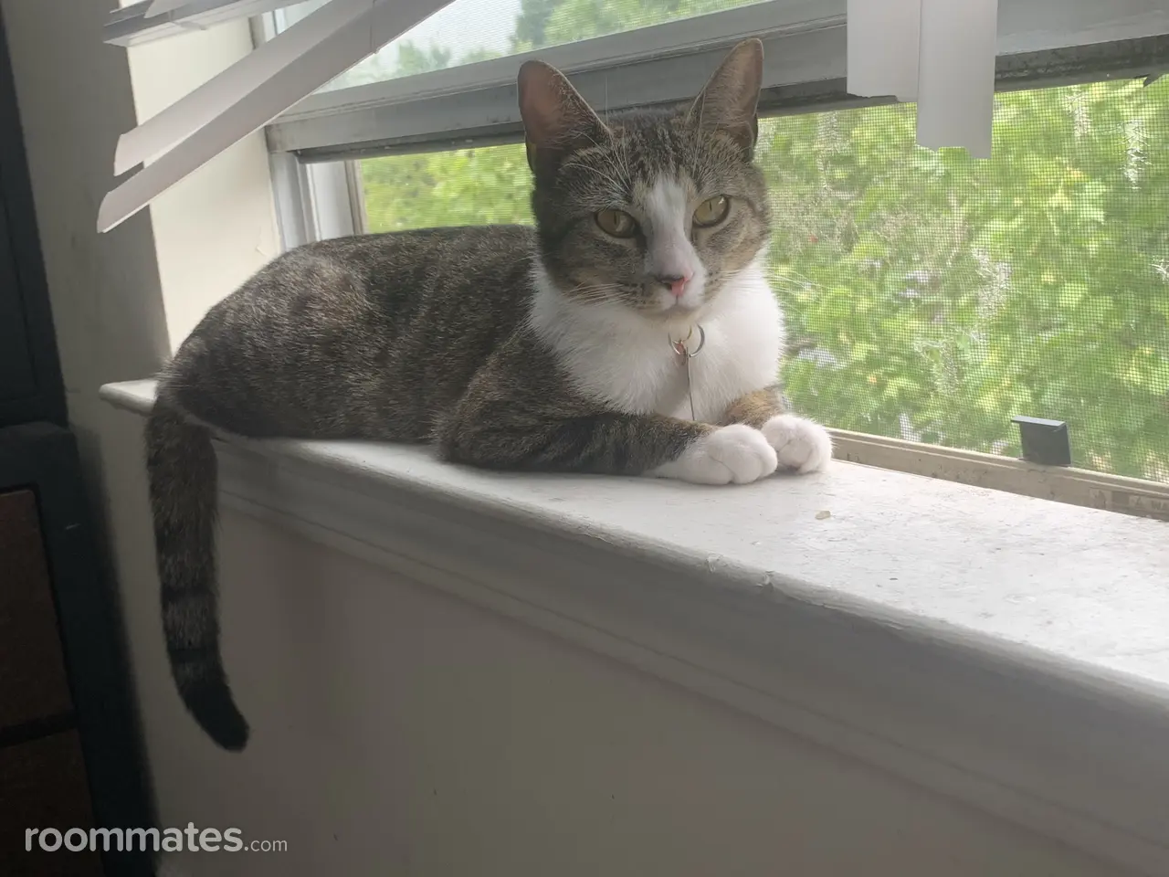 Profile photo 8 of 9