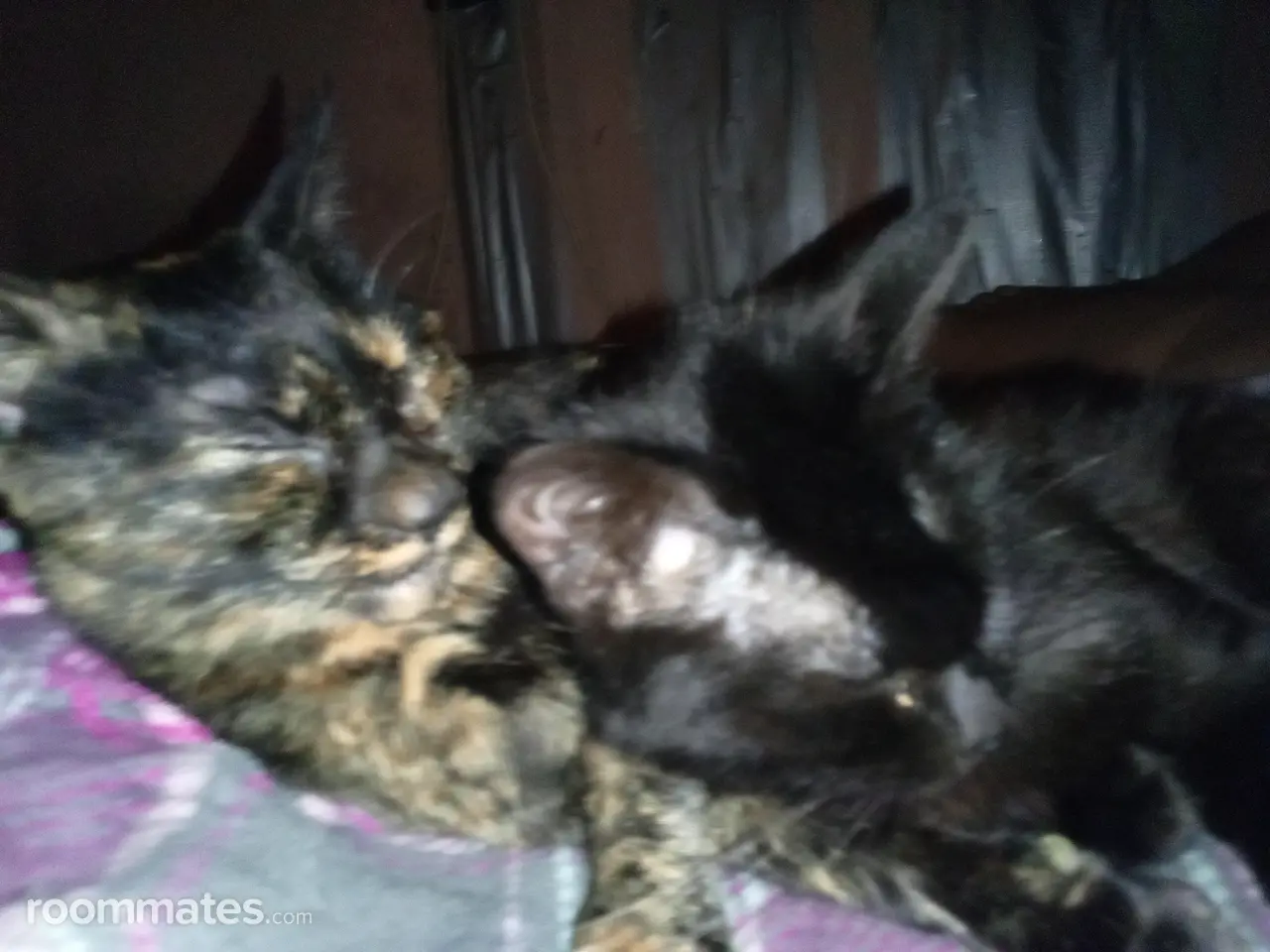 Profile photo 2 of 2