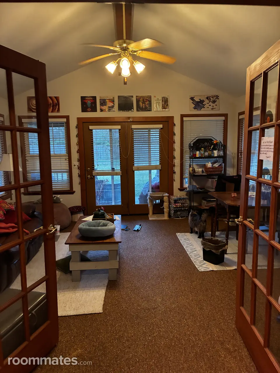 Profile photo 7 of 11