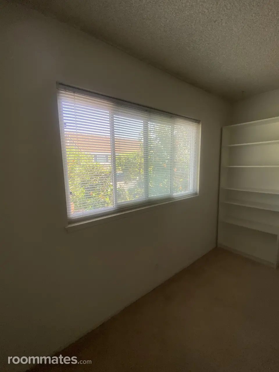 Profile photo 4 of 7