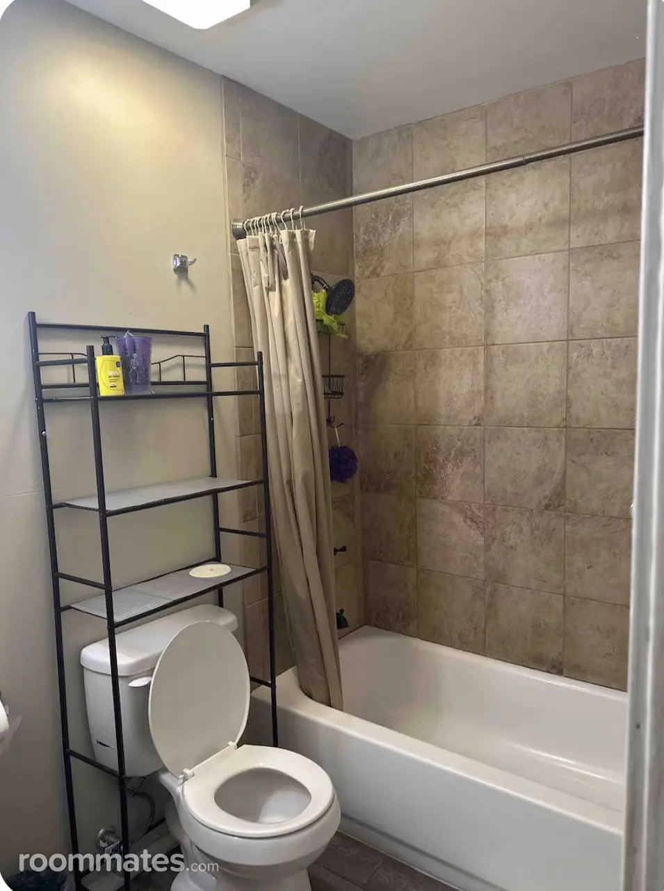 Profile photo 4 of 11