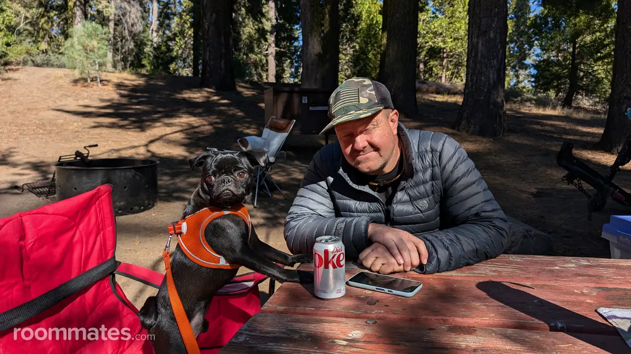 Profile photo 12 of 18