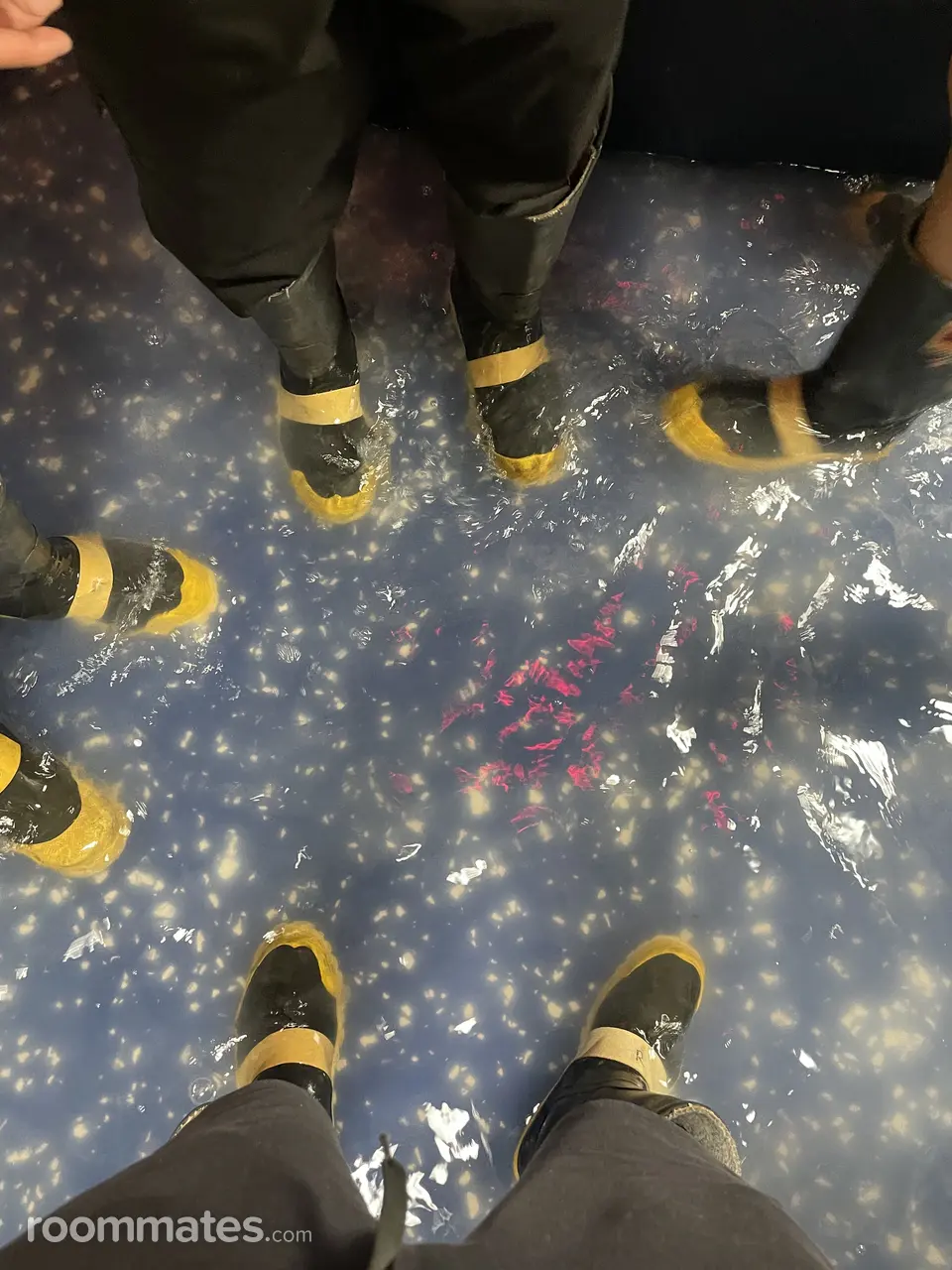 Profile photo 11 of 11