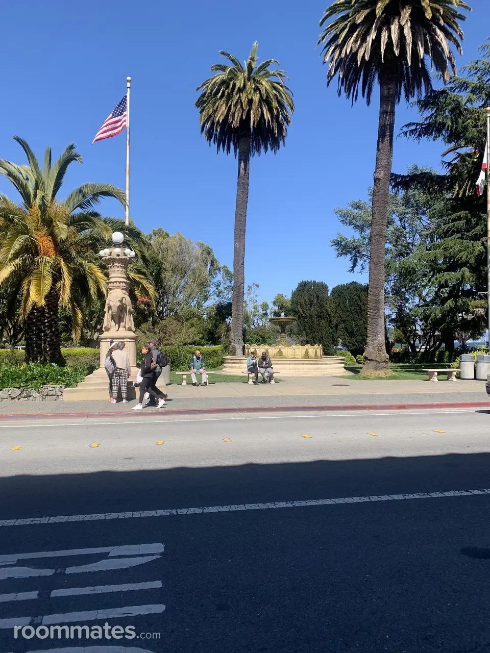 Profile photo 1 of 11