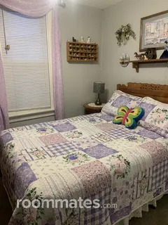 Room for rent in South Chicago Heights, IL $900, house