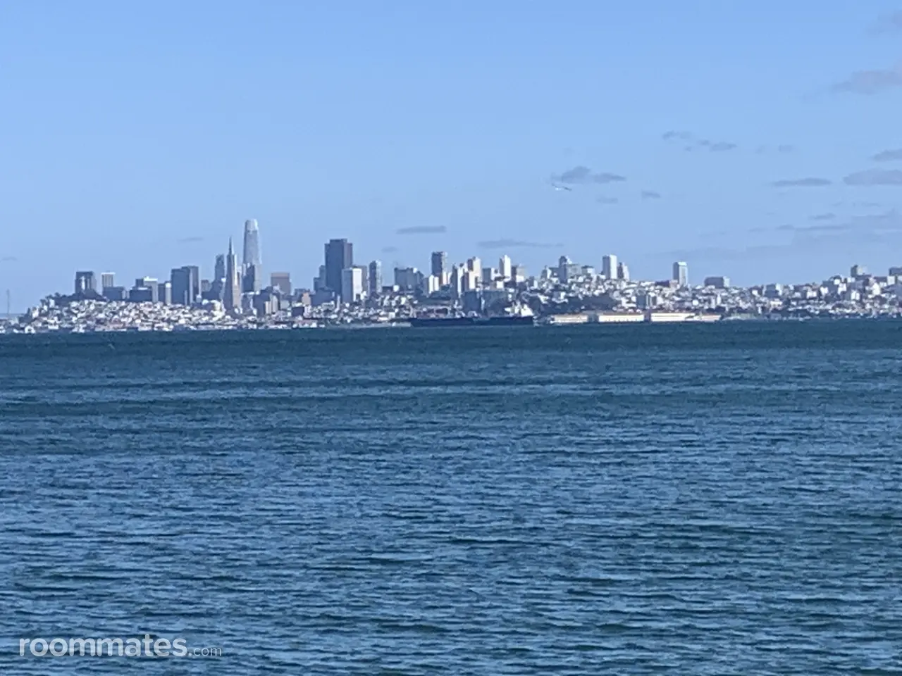 Profile photo 7 of 11