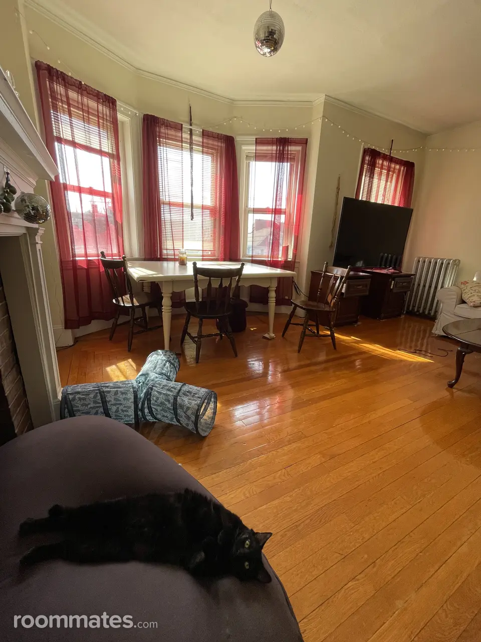 Profile photo 4 of 9