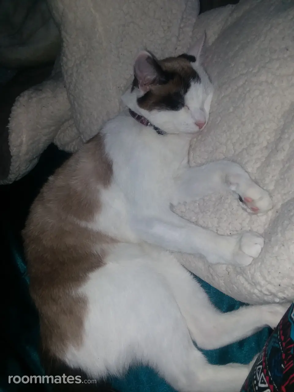 Profile photo 2 of 3