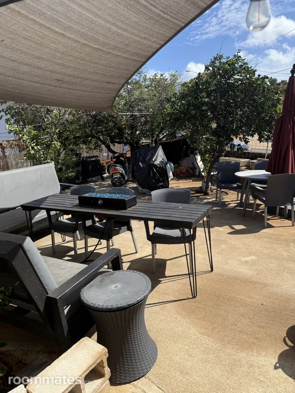 Profile photo 9 of 11