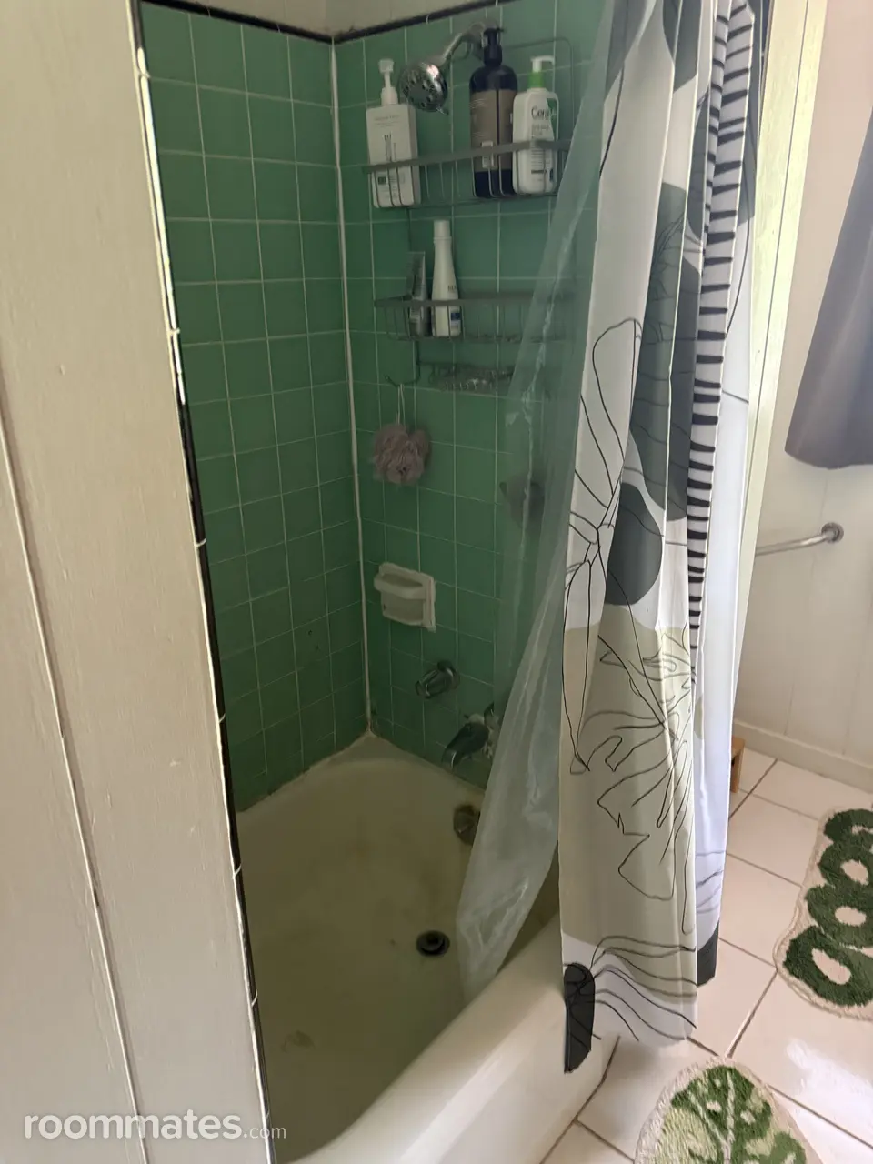 Profile photo 1 of 11