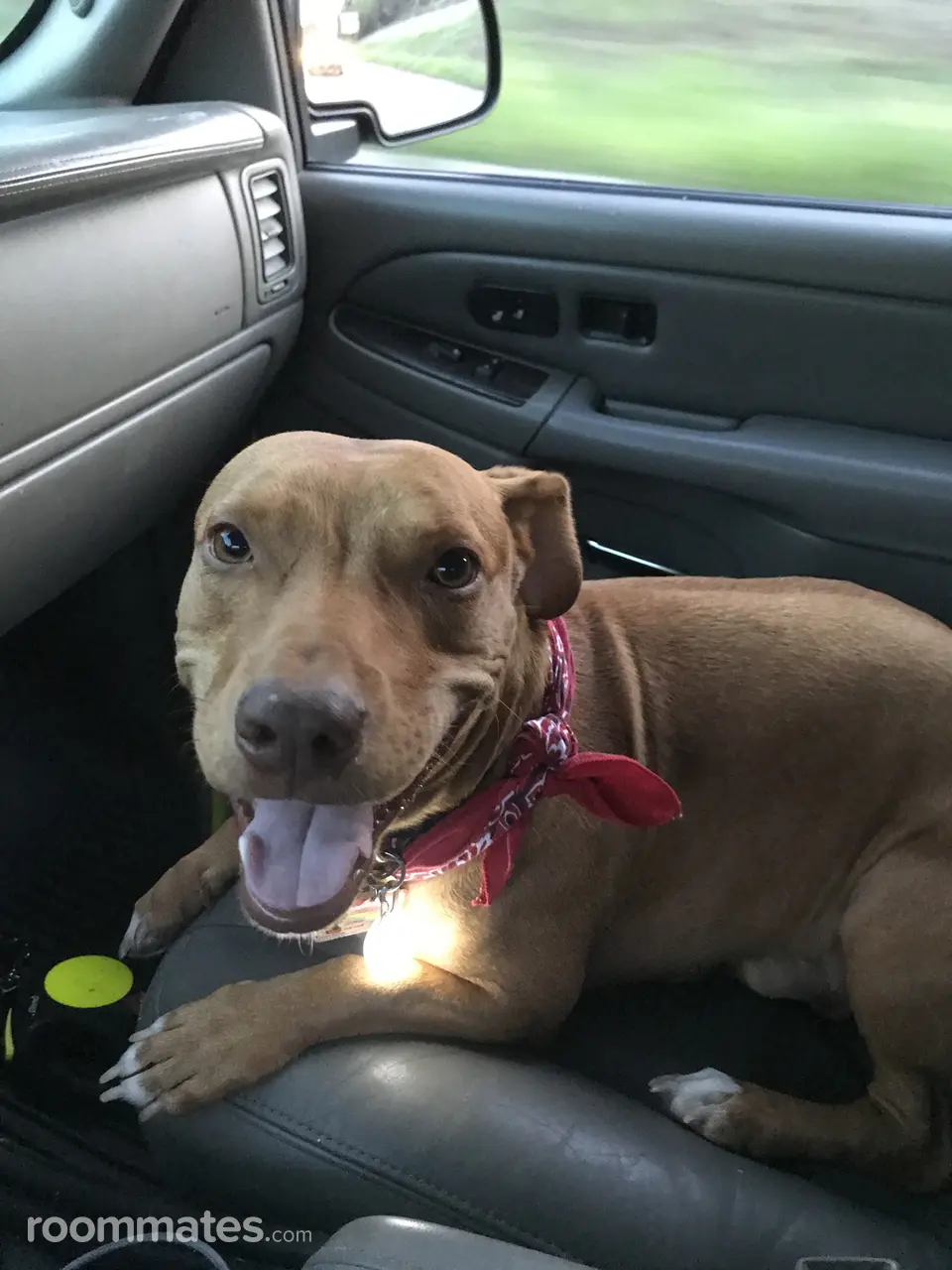 Profile photo 10 of 11