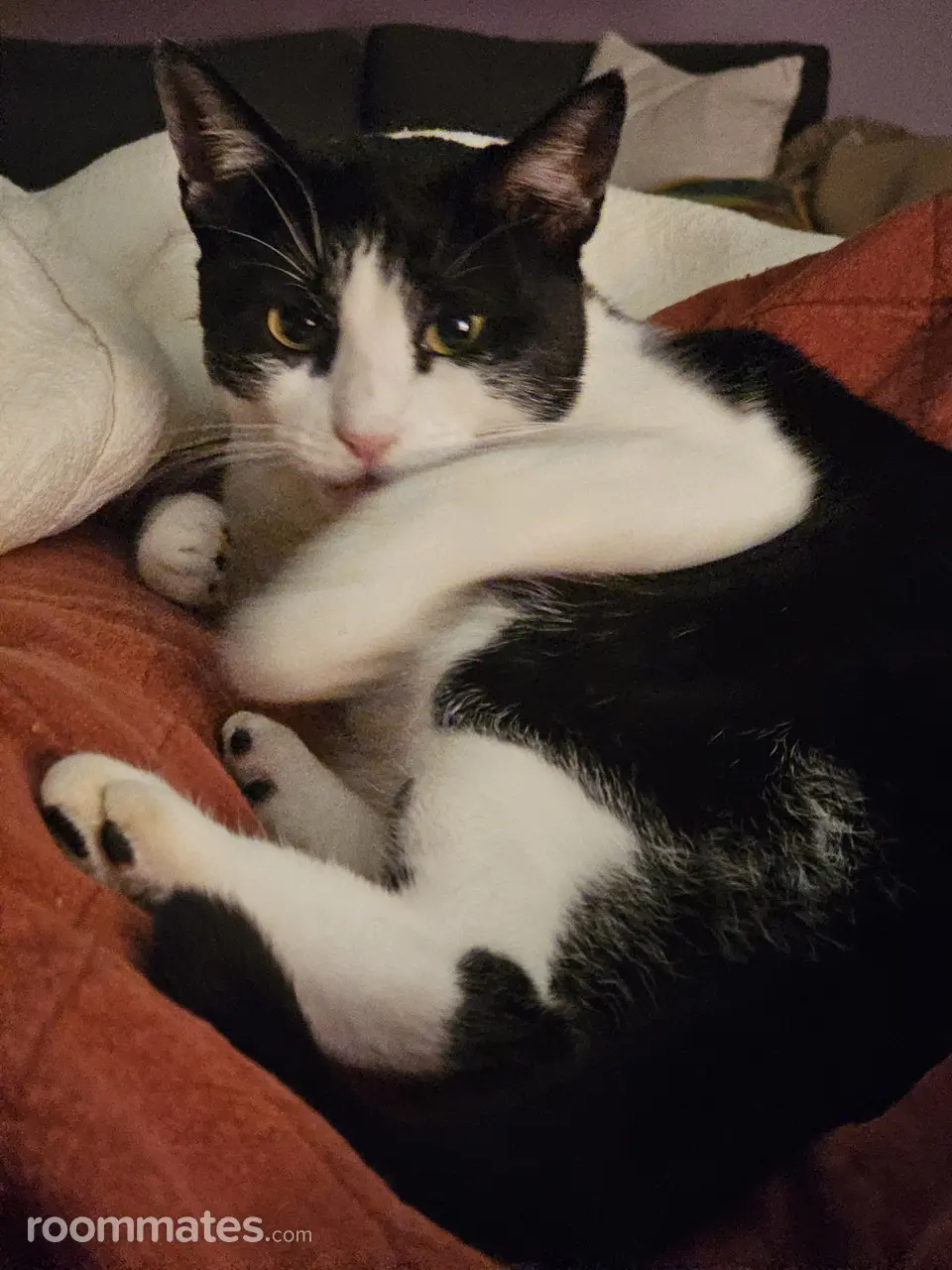 Profile photo 5 of 5