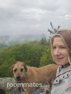 Roommate looking Longmont, CO, $1000