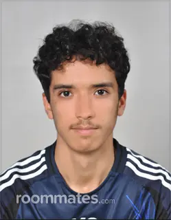 Roommate looking Cincinnati, OH, $800