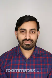 Roommate looking Herndon, VA, $1400